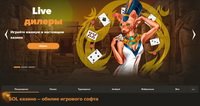 Sol Casino.     Novomatic, NetEnt,   Playsoft