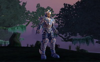 Косметическая система EverQuest's Hero's Forge наконец-то заработала