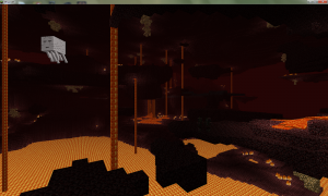 Nether 'biome'