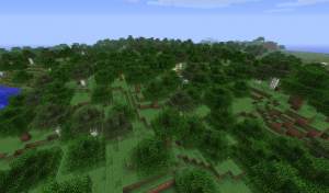 Biomes Forest